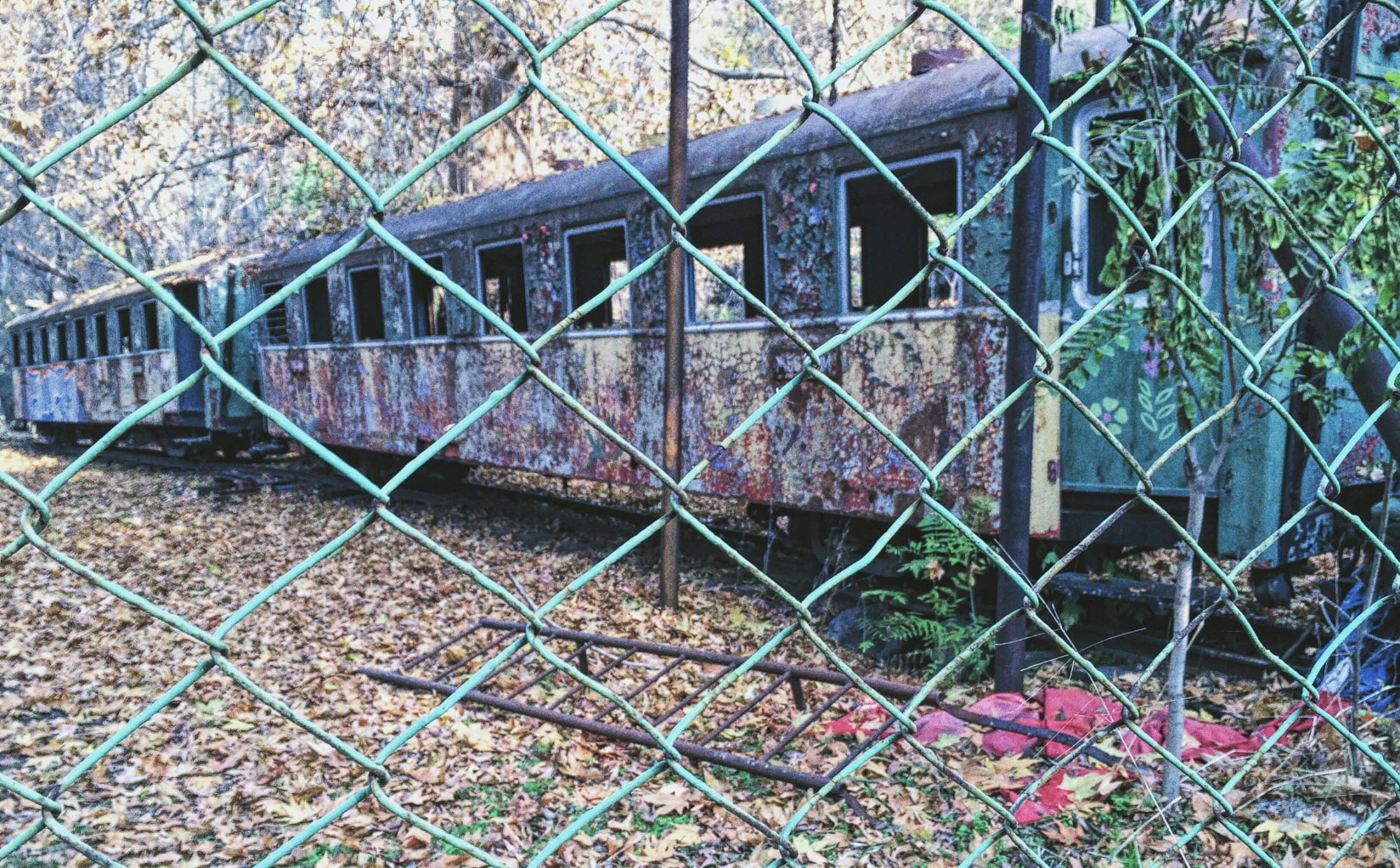 rz9